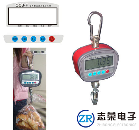 友聲電子吊秤_供應上海友聲電子吊秤價格/技術(shù)參數(shù)